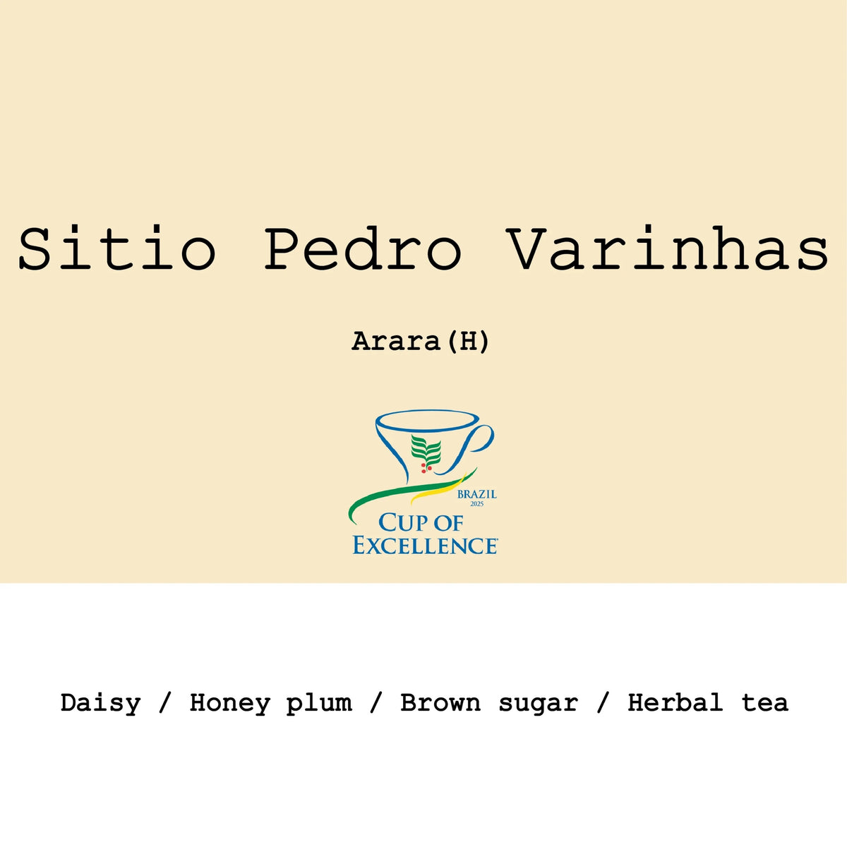 Goût & Co - Sitio Pedro Varinhasa Arara Honey 2025 CoE Washed & Honey #4 | Brazil