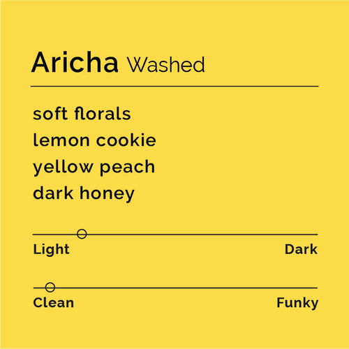 Black & White - Aricha - Washed Landrace - Ethiopia