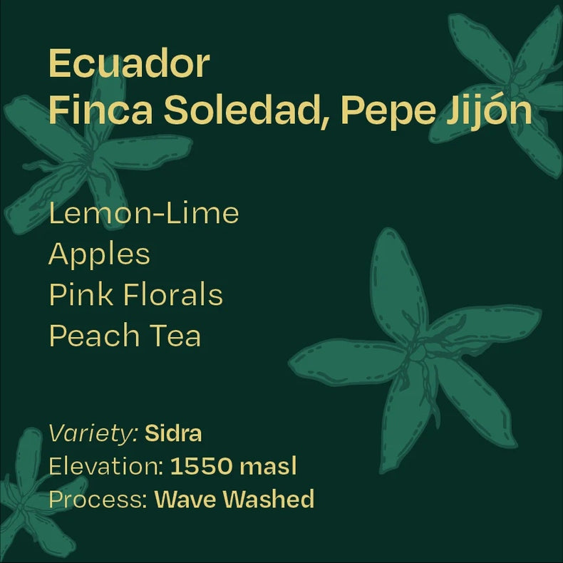 Helm Coffee Roasters - Pepe Jijón Sidra Wave | Ecuador