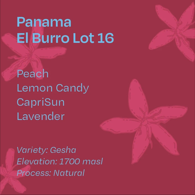 Helm Coffee Roasters - El Burro Lot 16 Natural Gesha | Panama