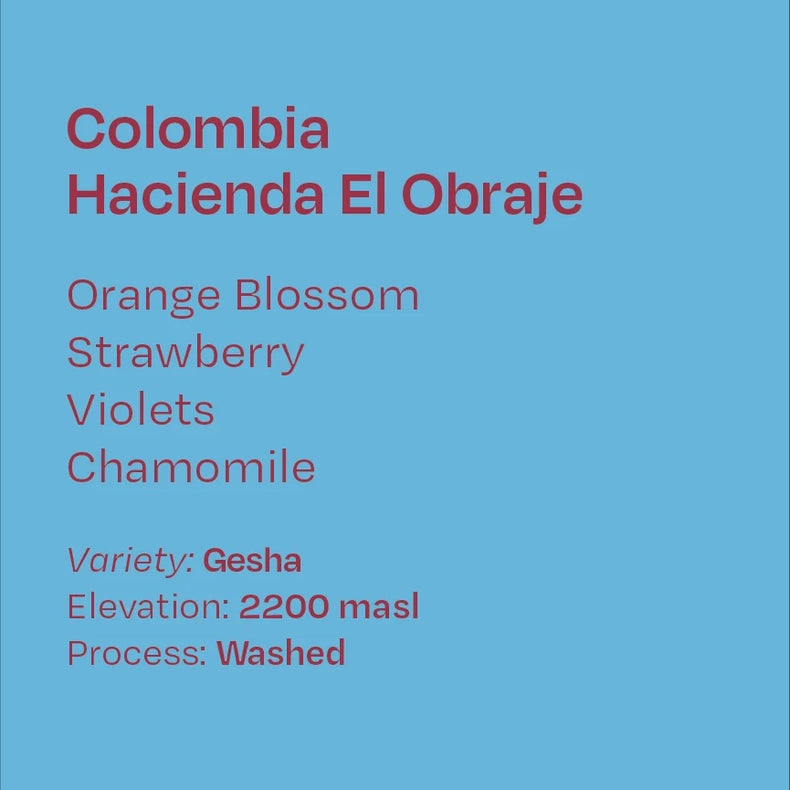 Helm Coffee Roasters - Hacienda El Obraje Washed Gesha | Colombia