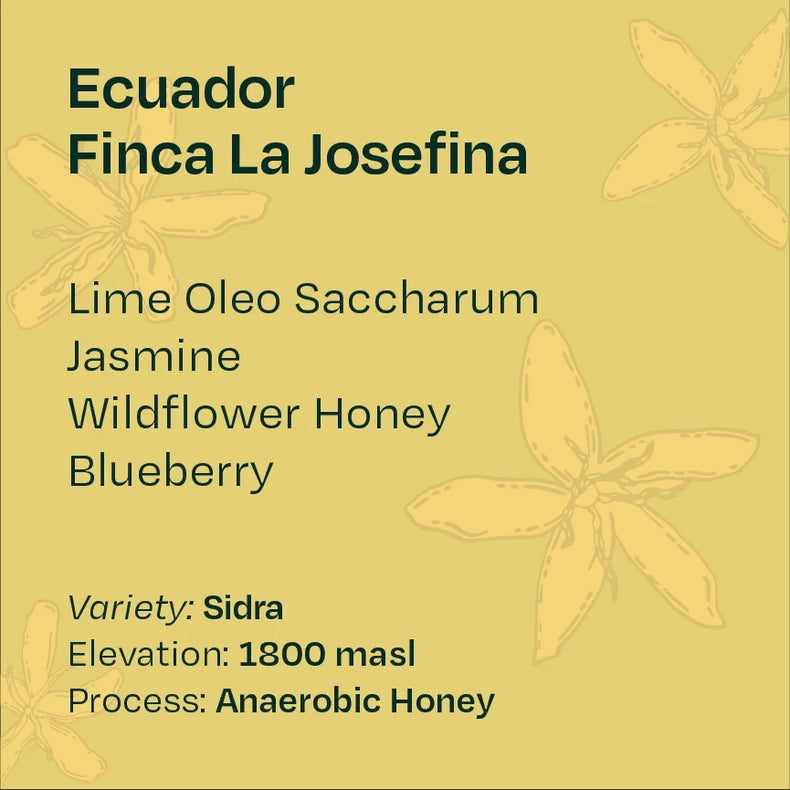 Helm Coffee Roasters - Finca La Josefina Anaerobic Honey Sidra | Ecuador