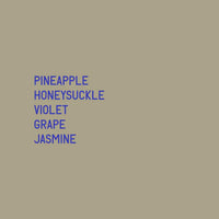 Datura | Altieri Dilgo Gesha ASD Natural