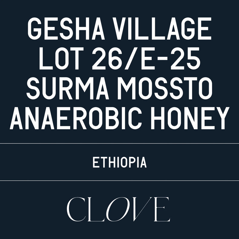 Datura Coffee - Gesha Village - Lot 26/E-25 Surma Mossto Anaerobic Honey