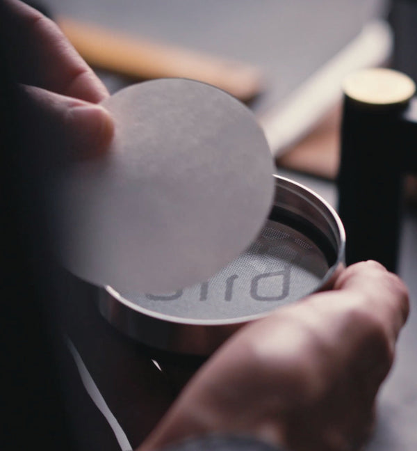 The BIRD - Filter Papers - Sigma Coffee UK