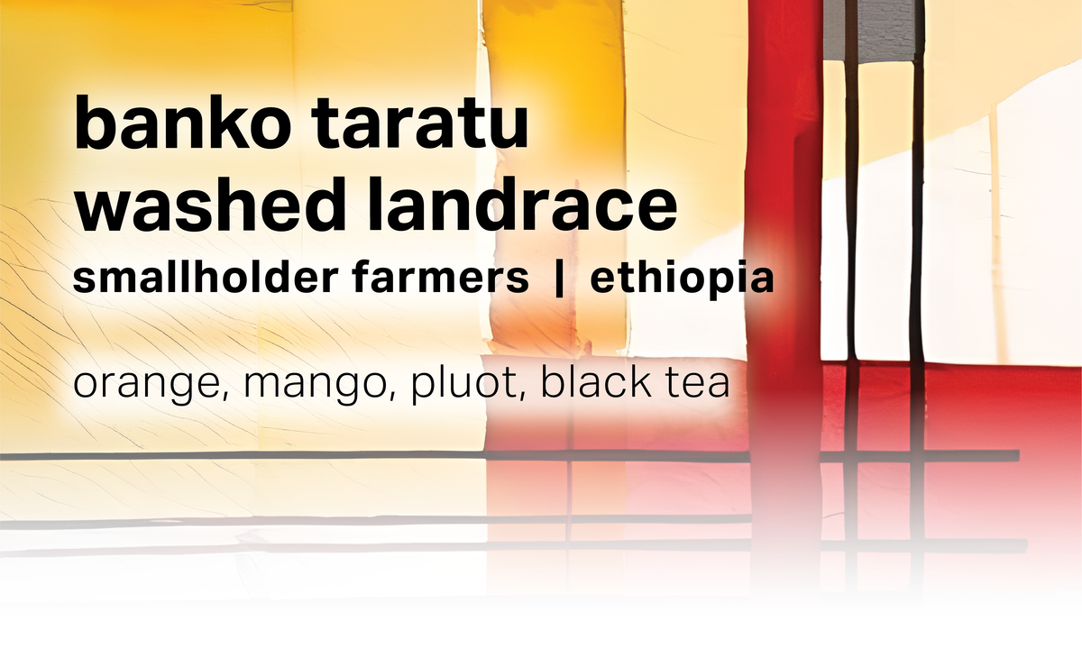 Moonwake Coffee Roasters - Banko Taratu Smallholder Farmers - Washed Landrace | Ethiopia - Sigma Coffee UK