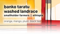 Moonwake Coffee Roasters - Banko Taratu Smallholder Farmers - Washed Landrace | Ethiopia - Sigma Coffee UK