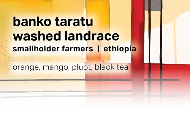 Moonwake Coffee Roasters - Banko Taratu Smallholder Farmers - Washed Landrace | Ethiopia - Sigma Coffee UK