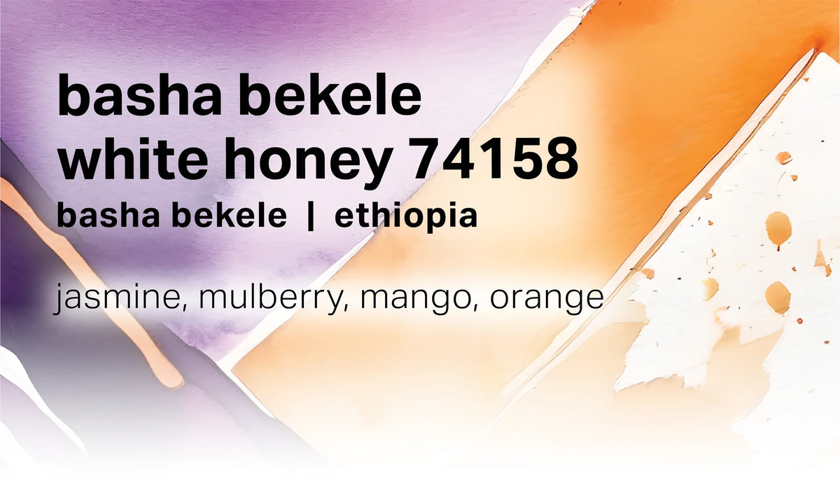 Moonwake - Basha Bekele Murago - White Honey Washed Landrace | Ethiopia - Sigma Coffee UK