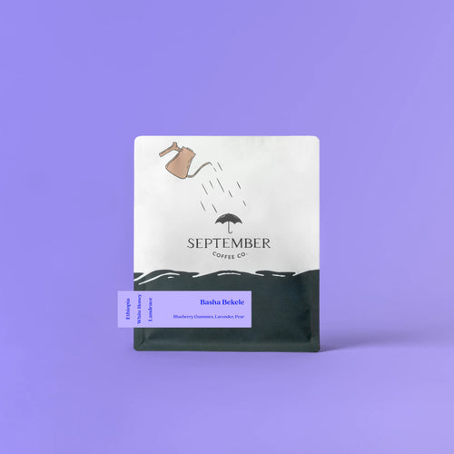 September - Basha Bekele, White Honey 74158 | Ethiopia