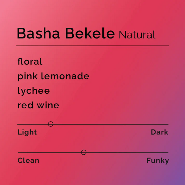 Black & White - Basha Bekele - Natural | Ethiopia - Sigma Coffee UK