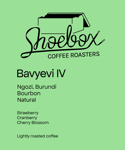 Shoebox Coffee Roasters - Bavyevi IV - Natural | Burundi