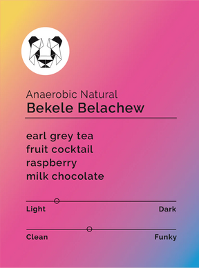 Black & White - Bekele Belachew - Anaerobic Natural - Sigma Coffee UK