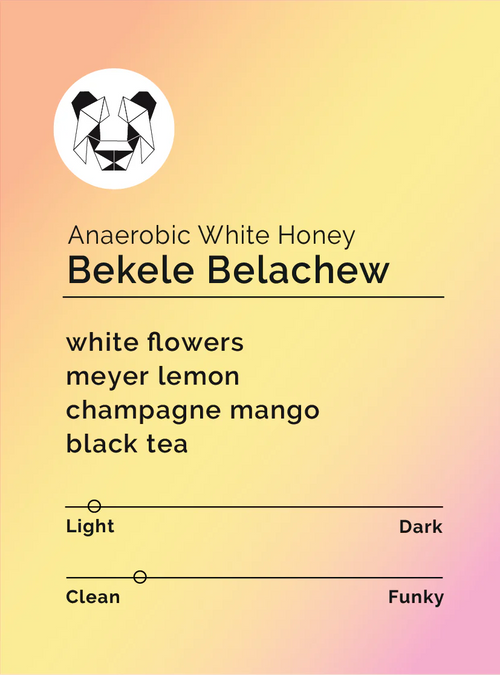 Black & White - Bekele Belachew - Anaerobic White Honey