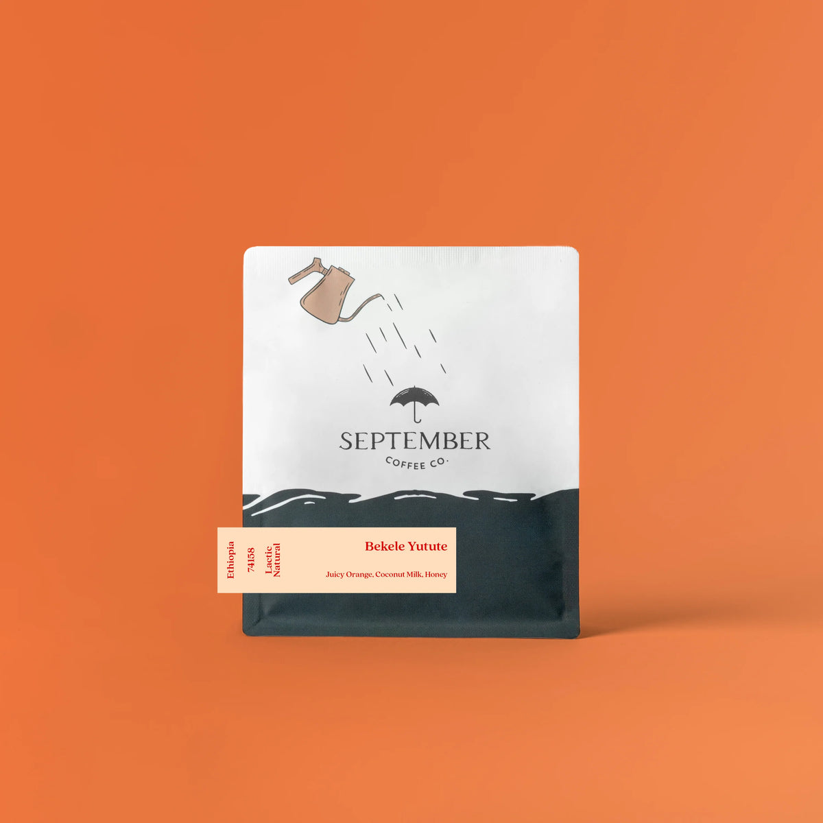 September - Bekele Yutute, LACTIC Natural Landrace | Ethiopia - Sigma Coffee UK