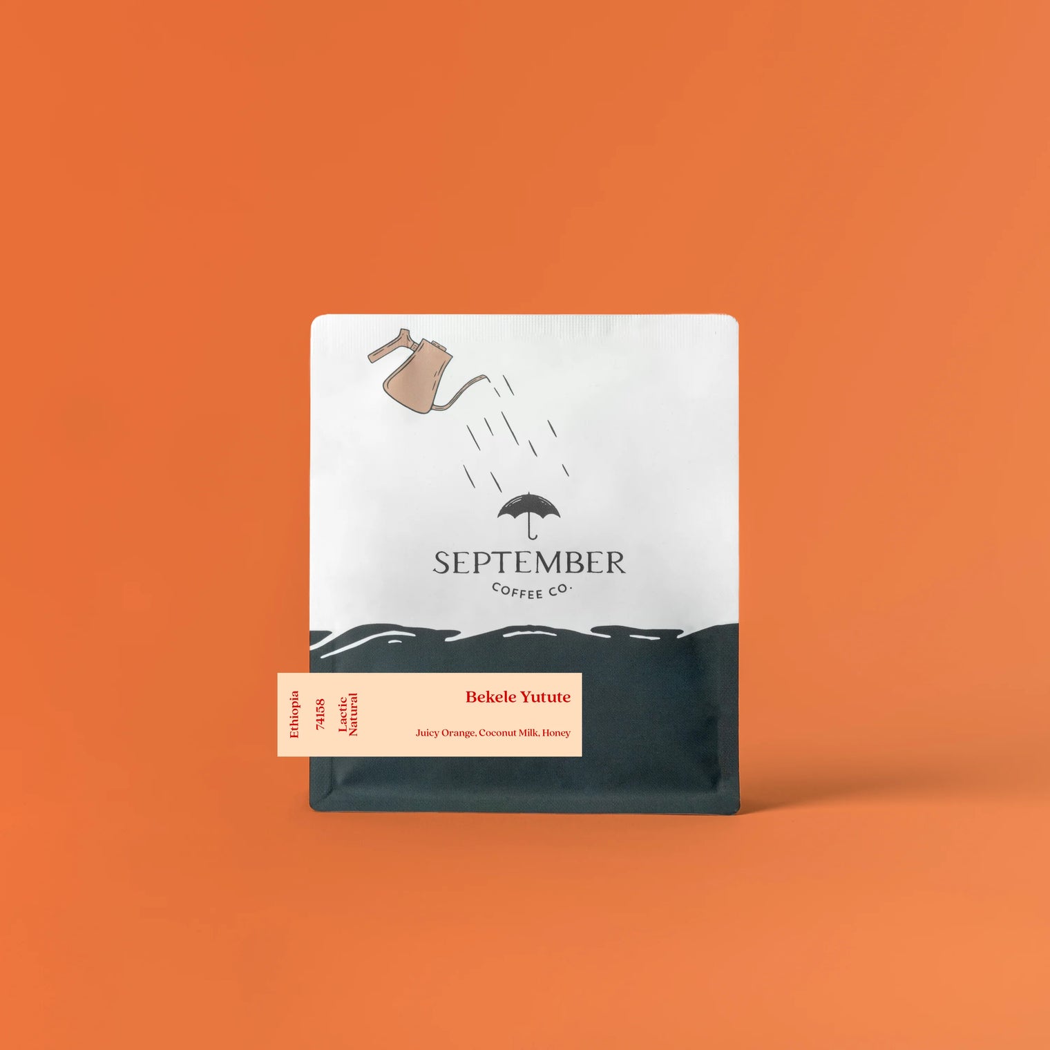 September - Bekele Yutute, LACTIC Natural Landrace | Ethiopia