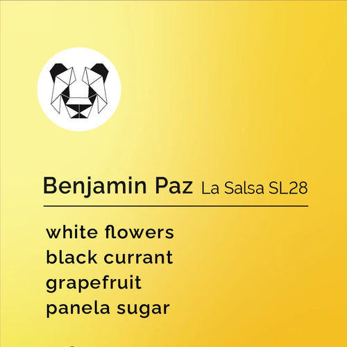 Black & White Roasters - Benjamin Paz - La Salsa | Honduras