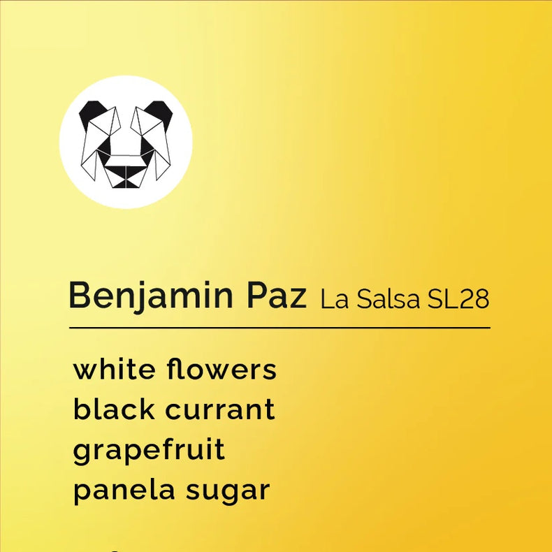 Black & White Roasters - Benjamin Paz - La Salsa | Honduras