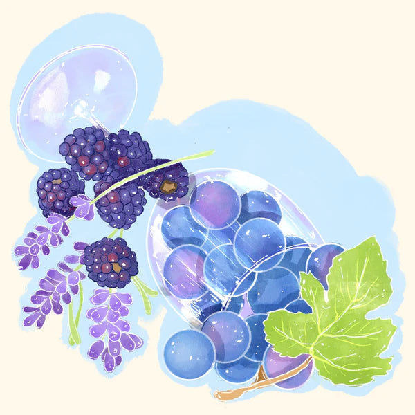 Hydrangea - Karinga AA Washed | Kenya