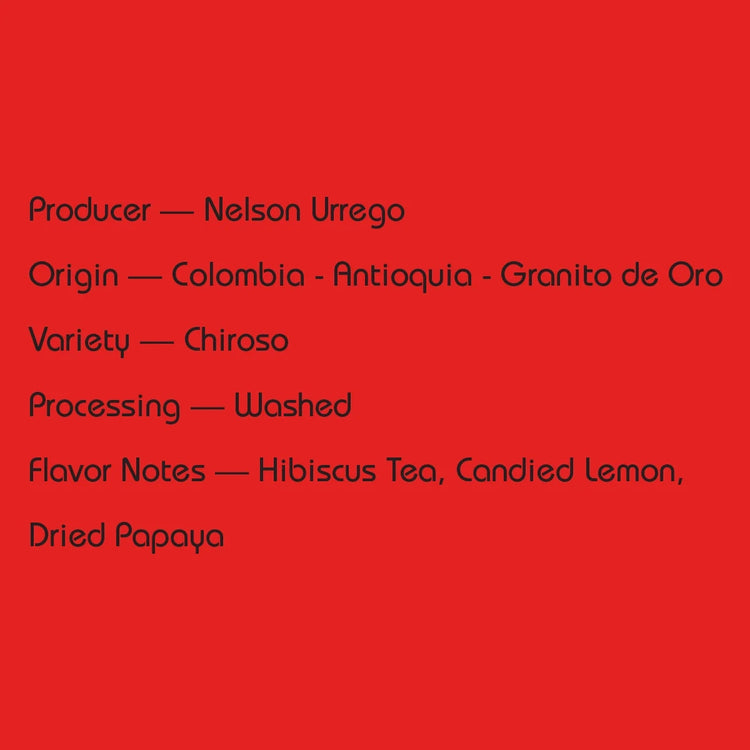 Mirra Coffee - Nelson Urrego Washed Chiroso | Colombia