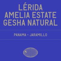 Datura | Lérida - Amelia Estate - Natural Gesha (100g)