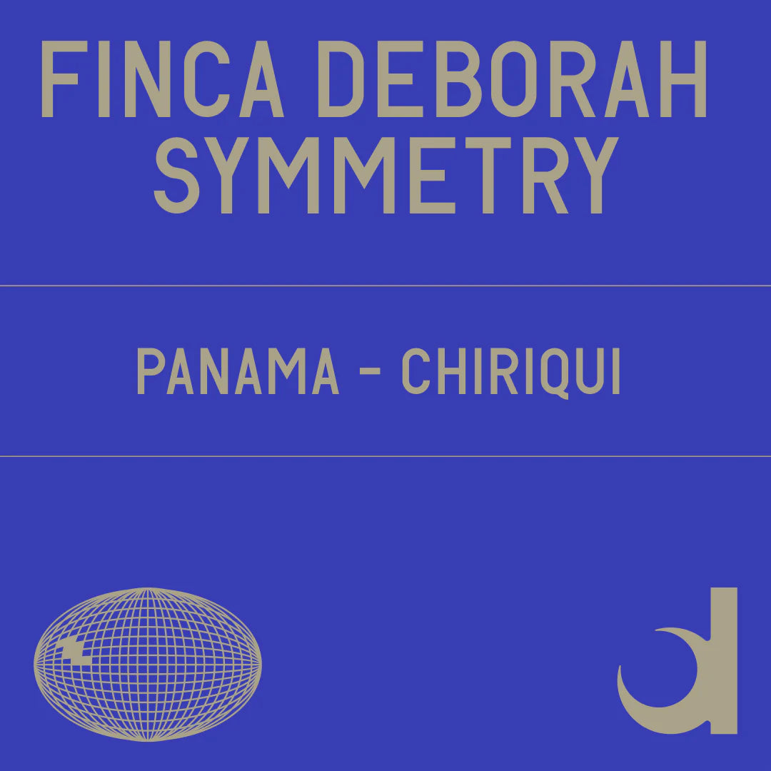 Datura | Finca Deborah Symmetry (100g)