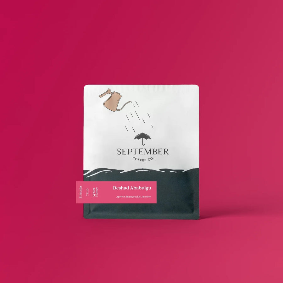 September Coffee Co. - Reshad Ababulgu White Honey 74110 | Ethiopia