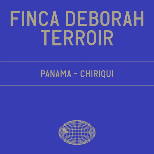 Datura | Finca Deborah Terroir (100g) - Sigma Coffee UK