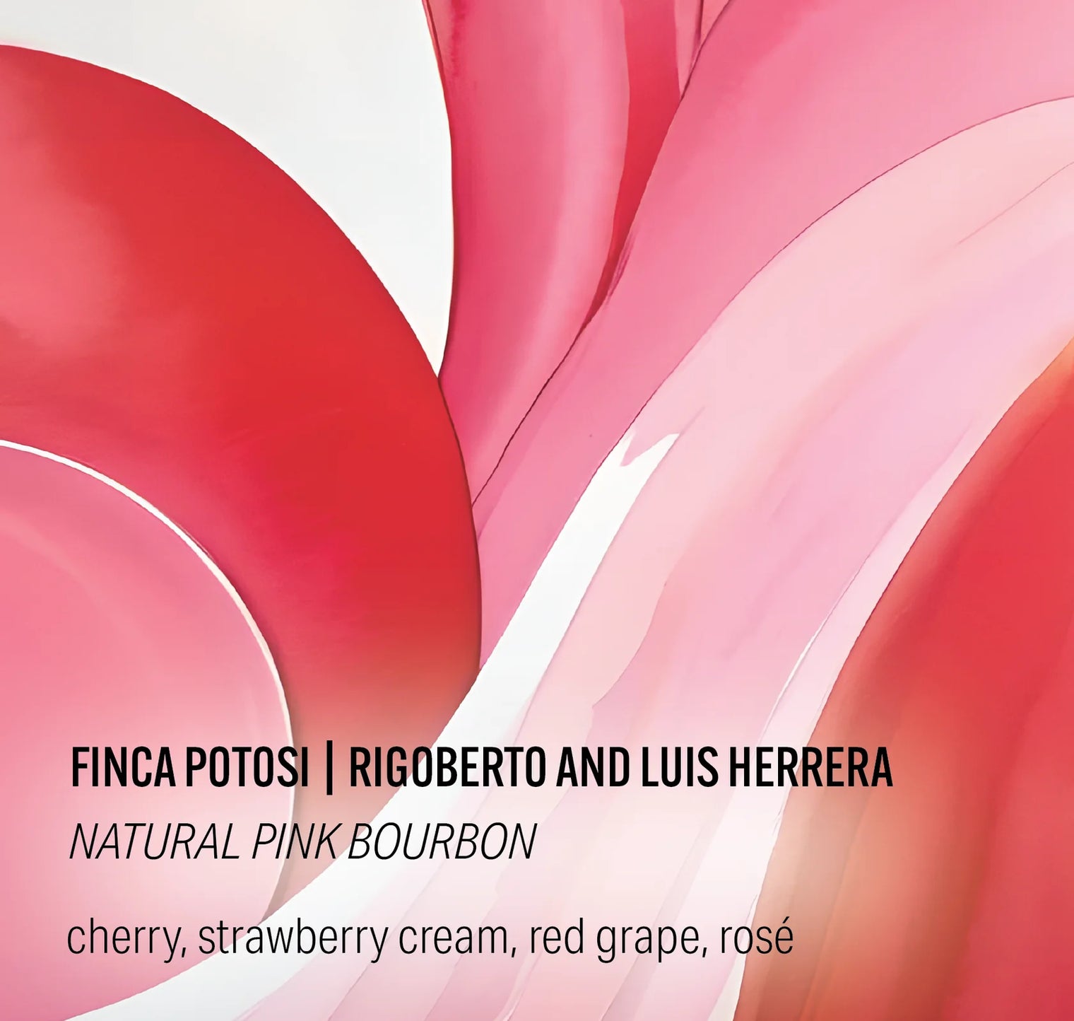 Moonwake - Finca Potosi, Natural Pink Bourbon - Colombia