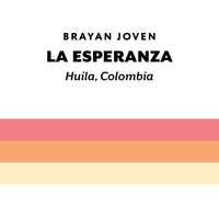 H&S Roasters - La Esperanza Brayan, Washed Pink Bourbon | Colombia