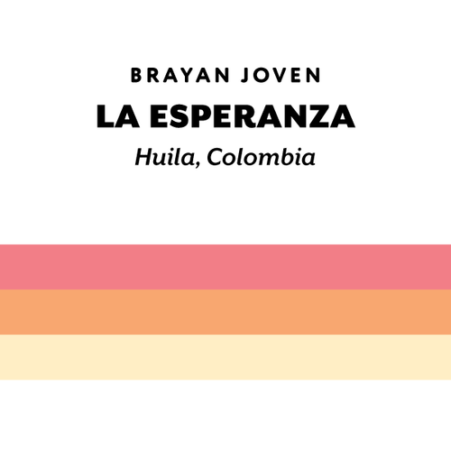 H&S Roasters - La Esperanza Brayan, Washed Pink Bourbon | Colombia