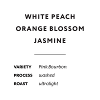 H&S Roasters - La Esperanza Brayan, Washed Pink Bourbon | Colombia