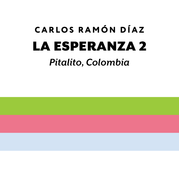 H&S Roasters - La Esperanza 2 Carlos, Washed Pink Bourbon | Colombia