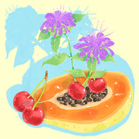 Hydrangea - Cafe Granja La Esperanza - Natural Sudan Rume | Colombia