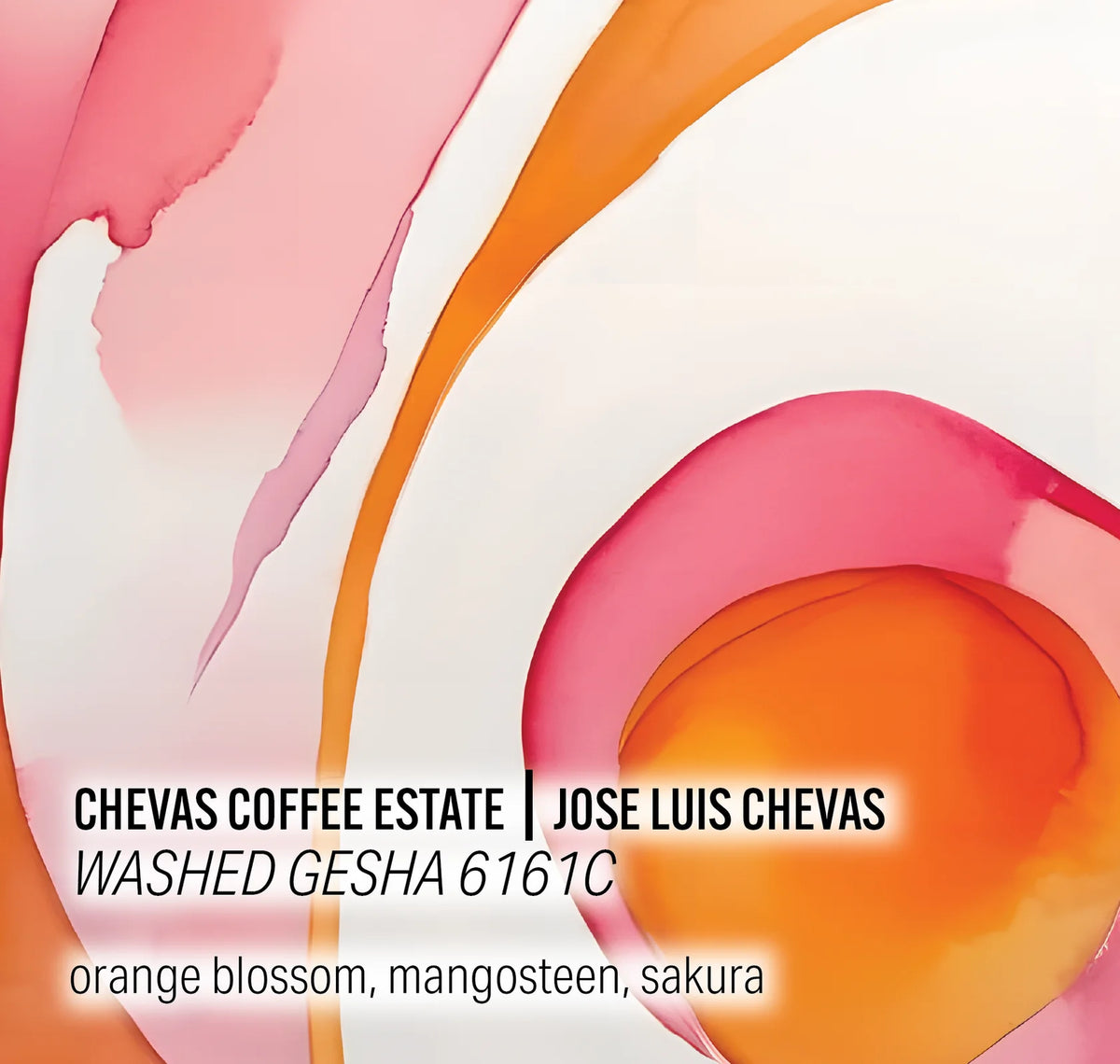 Moonwake - Chevas Estate - Washed Gesha - 6161C Panama