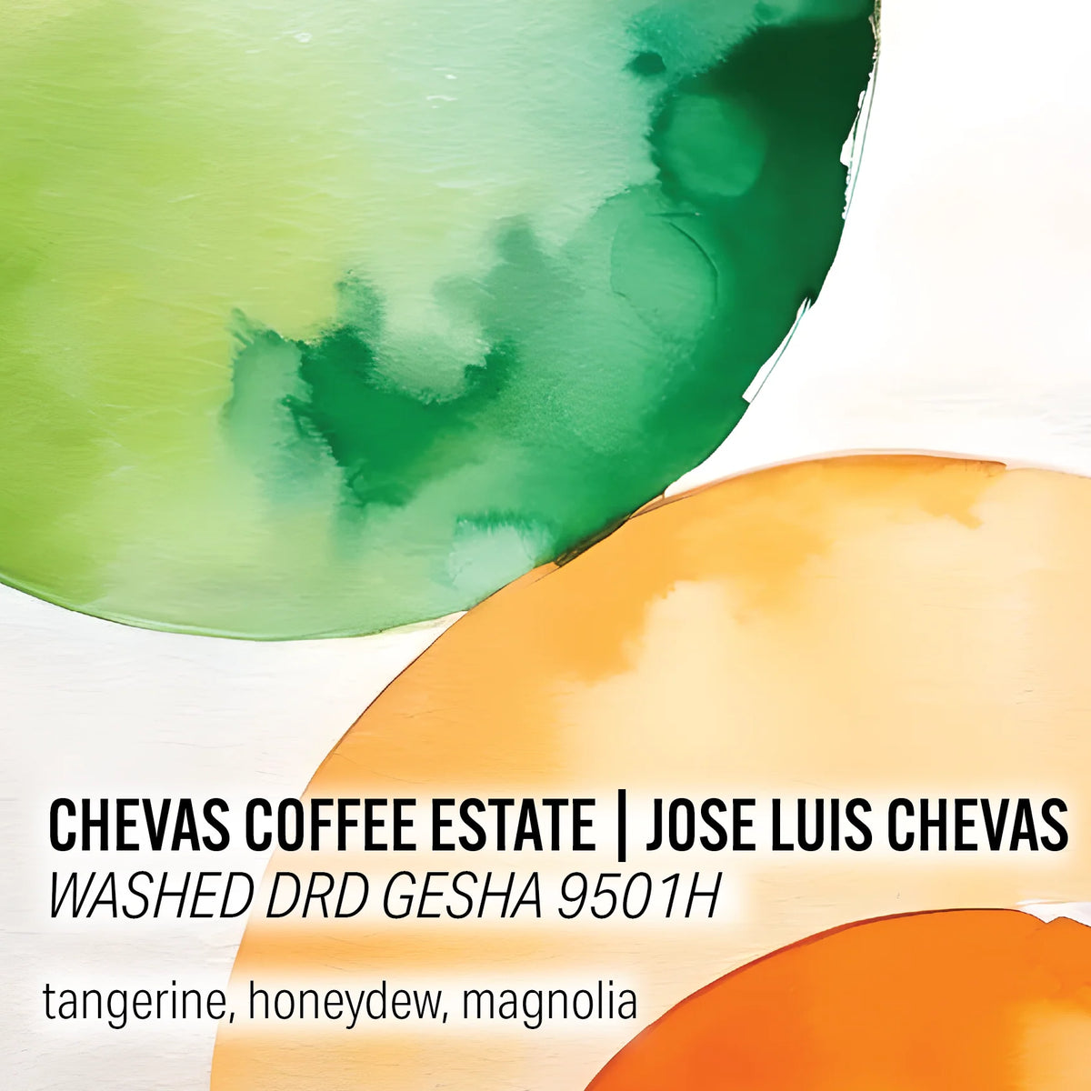 Moonwake - Chevas Coffee Estate - Washed DRD Gesha 9501H – Sigma Coffee UK