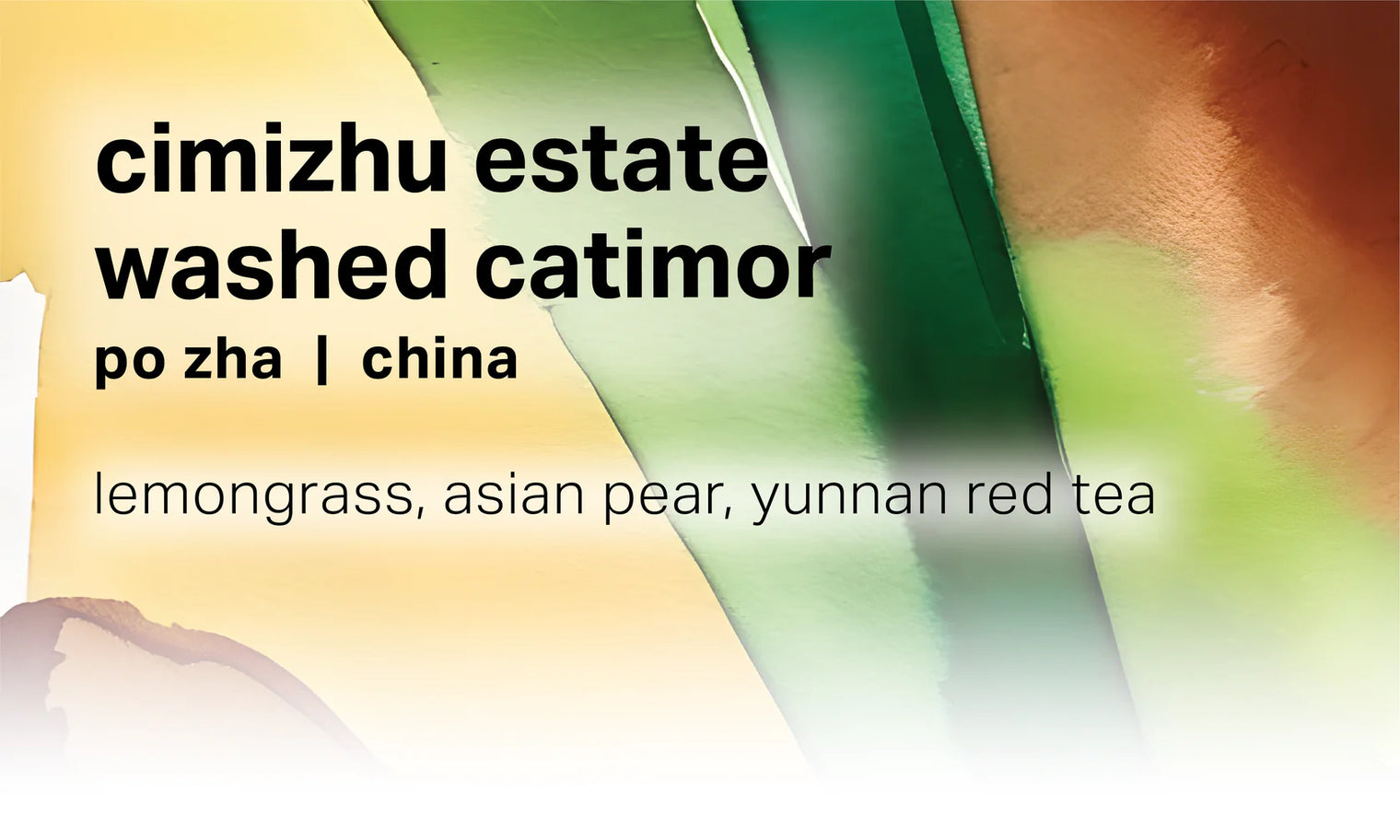 Moonwake - Cimizhu Estate Po Zha - Washed Catimor - China