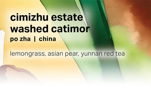 Moonwake - Cimizhu Estate Po Zha - Washed Catimor - China