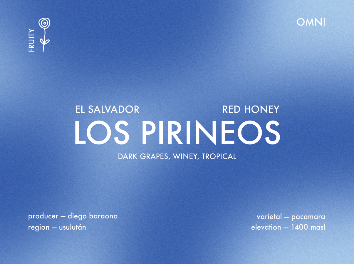 Prolog - Los Pirineos - Pacamara, Red Honey | El Salvador