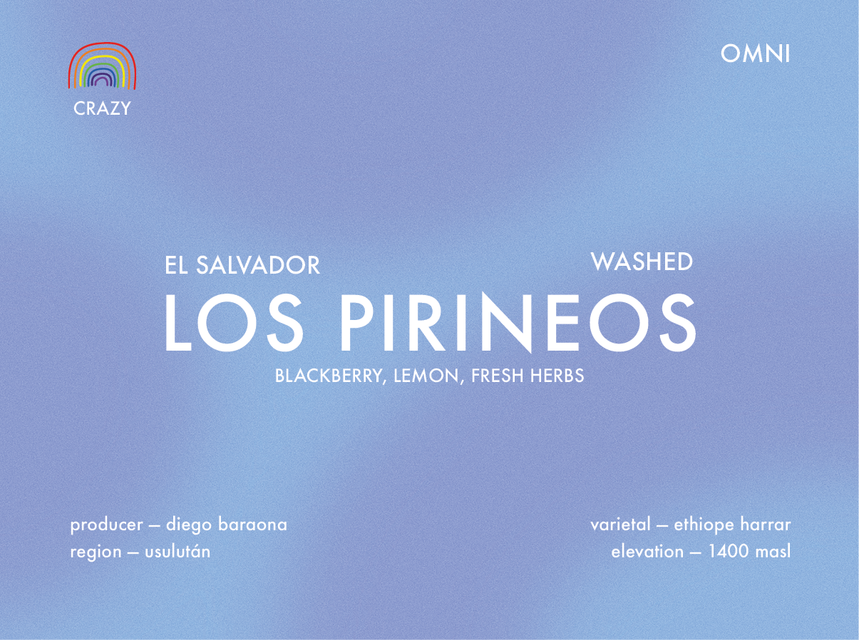 Prolog - Los Pirineos - Ethiope Harrar, Washed | El Salvador