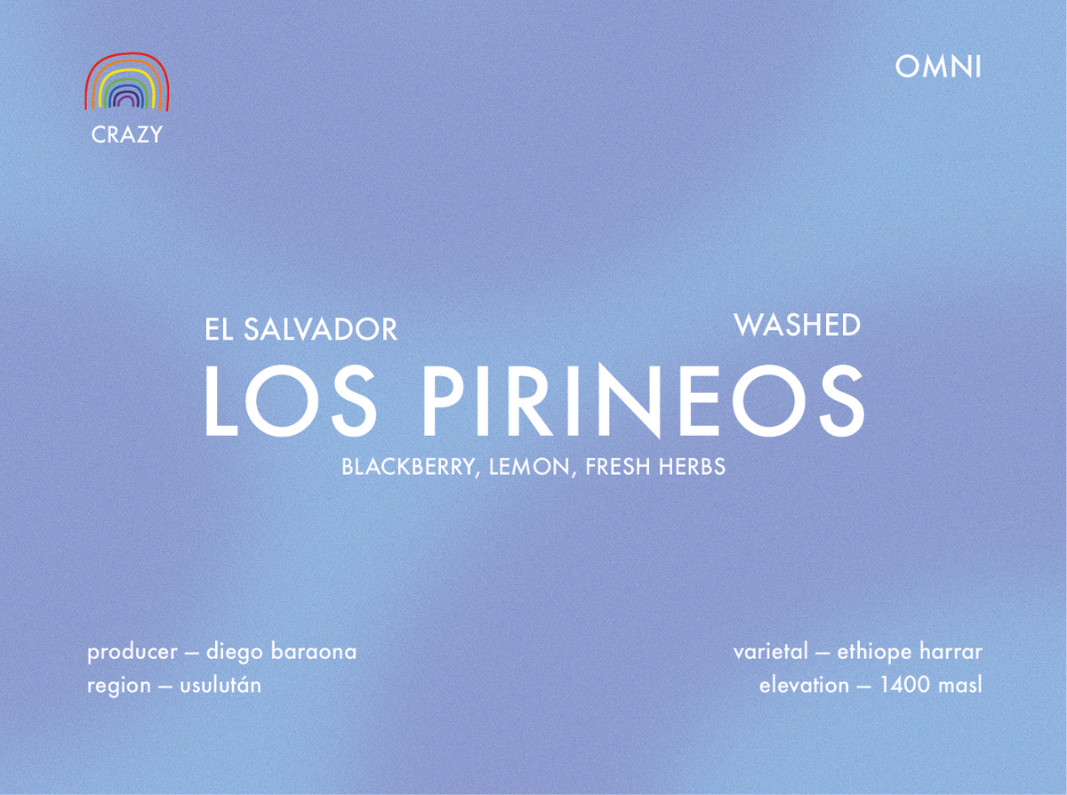 Prolog - Los Pirineos - Ethiope Harrar, Washed | El Salvador - Sigma Coffee UK