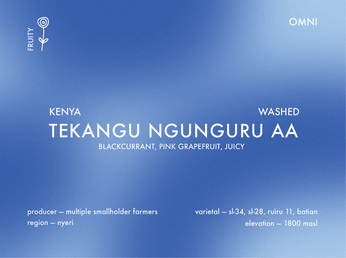 Prolog - Tekangu - Ngunguru AA, Washed | Kenya - Sigma Coffee UK