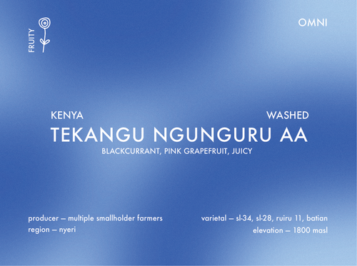 Prolog - Tekangu - Ngunguru AA, Washed | Kenya