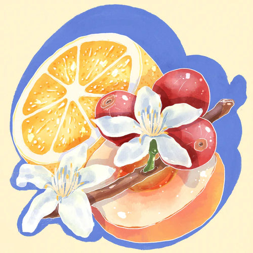 Hydrangea - Hacienda La Esmeralda, Washed Gesha Cabaña Abajo 5FB | Panama