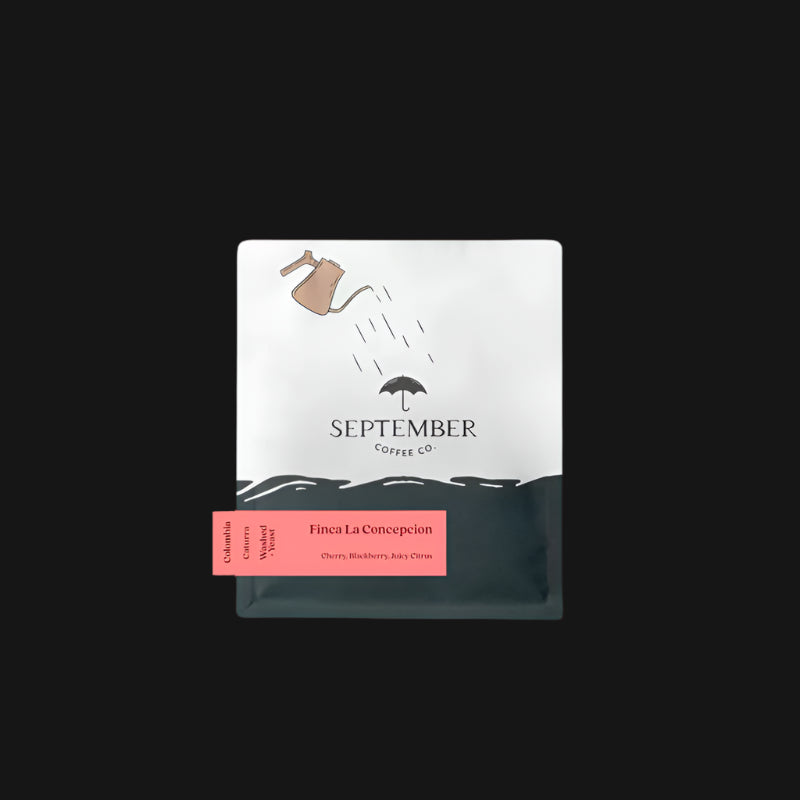 September - Finca La Concepcion, Double Fermentation Washed Caturra | Colombia