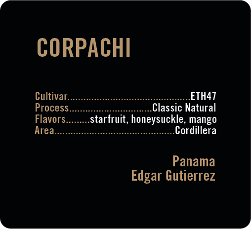 Apollon's Gold - Corpachi - Natural ETH47 | Panama - June 20th / 100g
