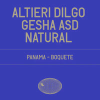 Datura | Altieri Dilgo Gesha ASD Natural