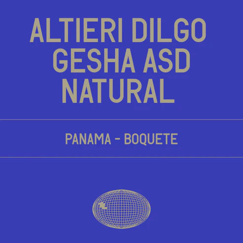 Datura | Altieri Dilgo Gesha ASD Natural