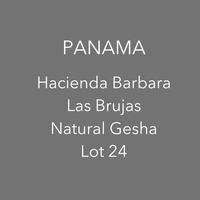 OMA - Hacienda Barbara, Los Brujos - Natural Gesha Lot 24 | Panama