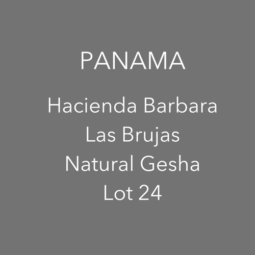 OMA - Hacienda Barbara, Los Brujos - Natural Gesha Lot 24 | Panama - Sigma Coffee UK